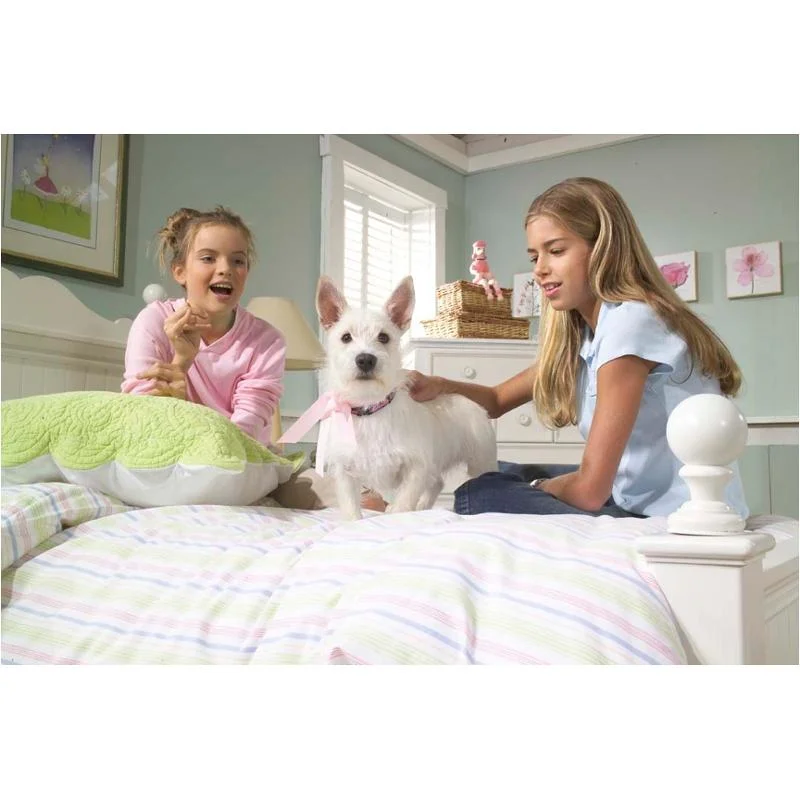 homelivingfurniture-120260619102017983245