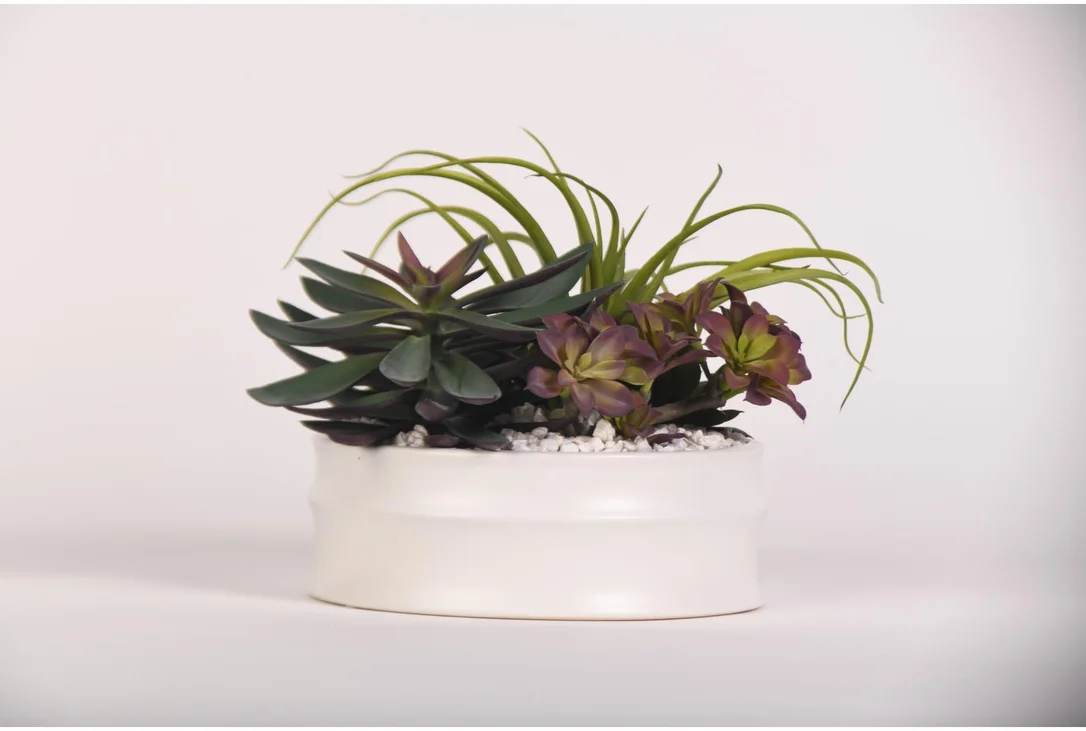 livingspaces202606210252451378420