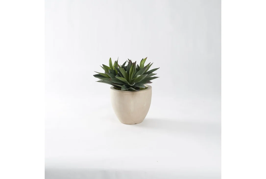 livingspaces202606210252581378453