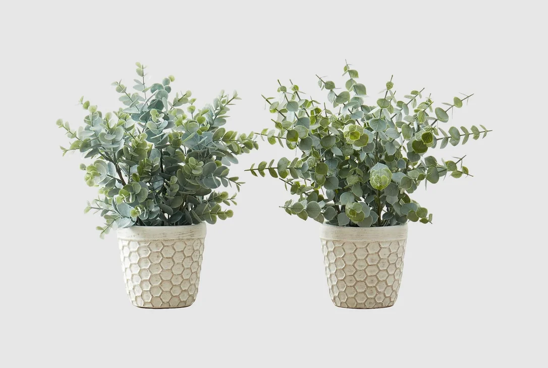 livingspaces202606210304091380255
