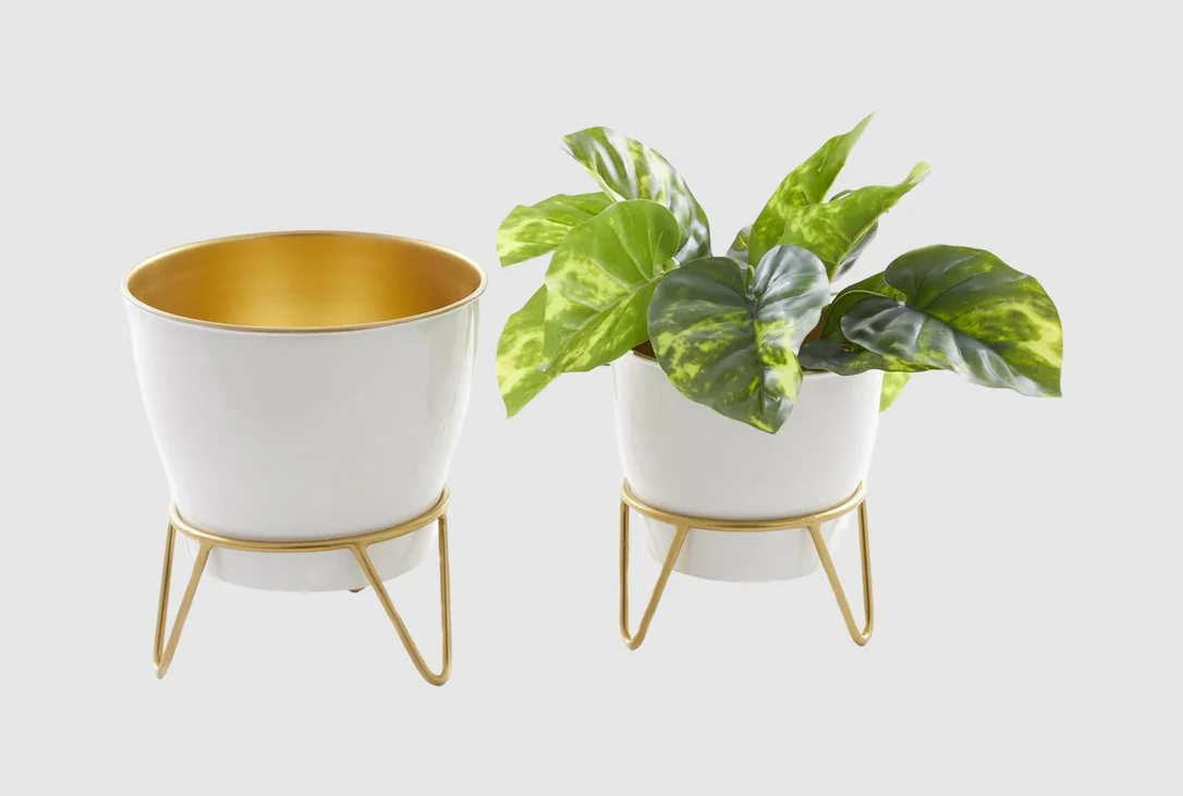 livingspaces202606210326251384007