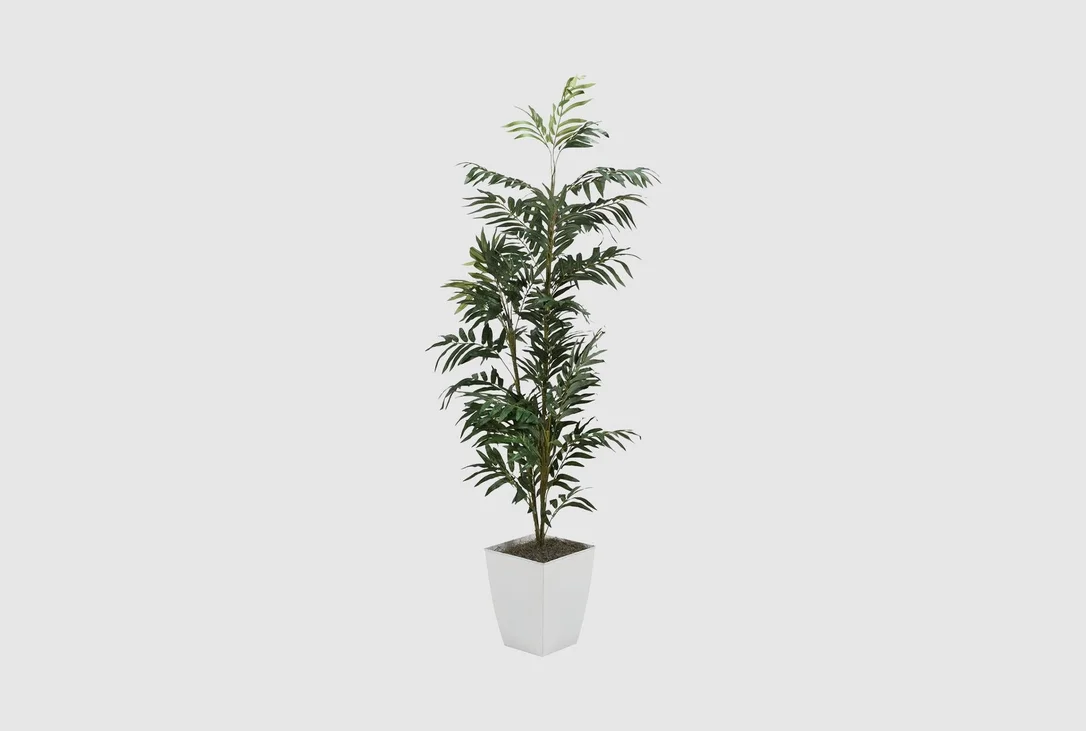 livingspaces202606210340101386191