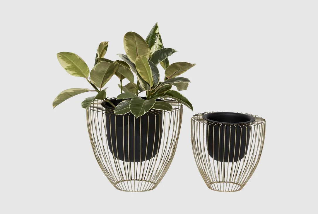 livingspaces202606210412071391569