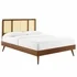 modernindesigns20260616154739637934